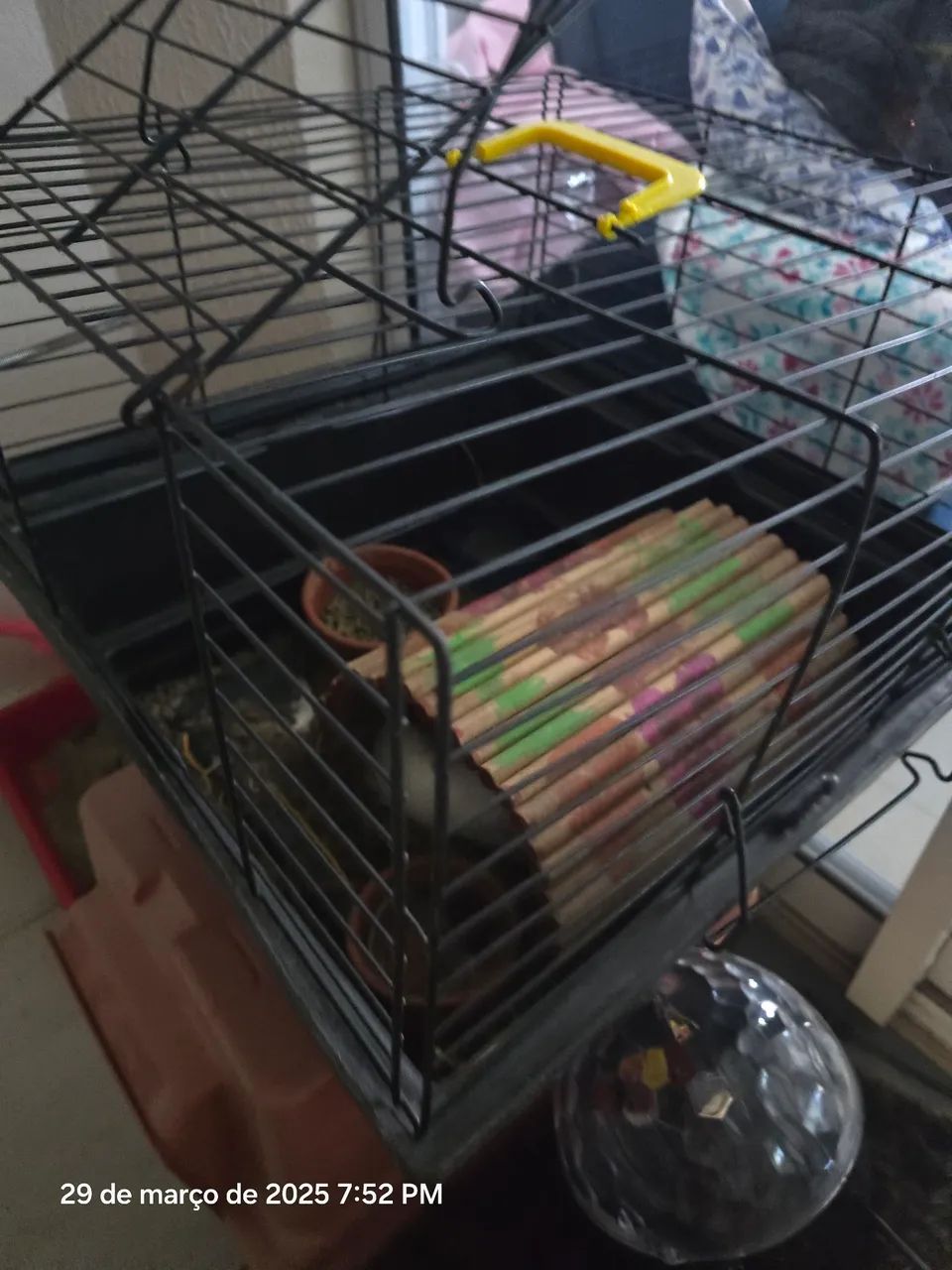 Gaiola para Roedores