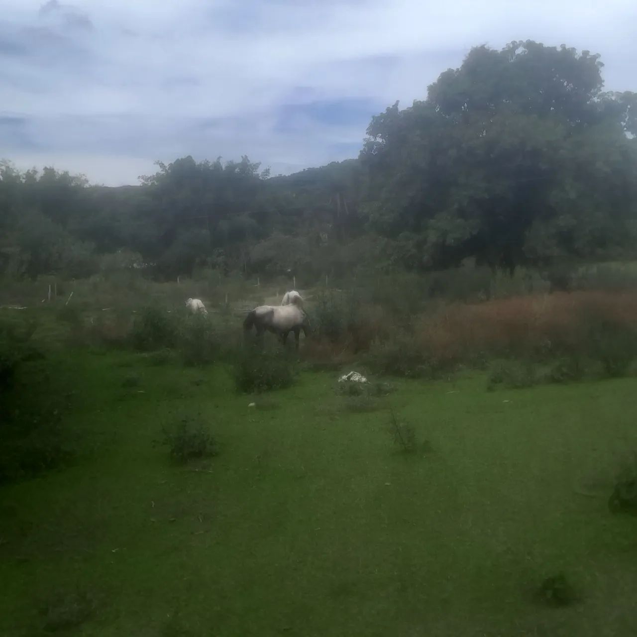 Chacaras em azurita região da olaria  - Foto 3