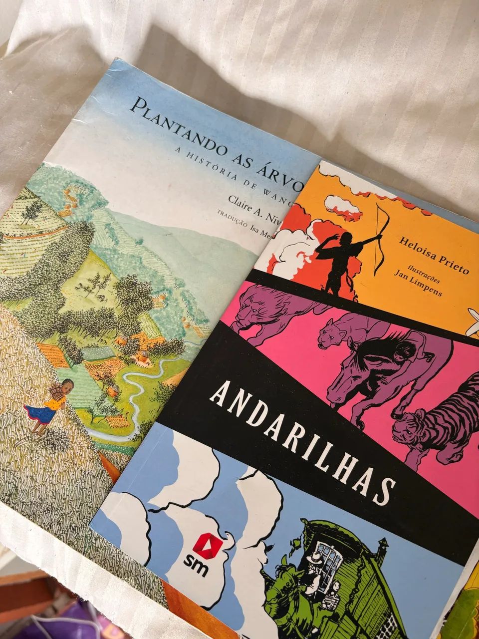 Paradidáticos Diversos 