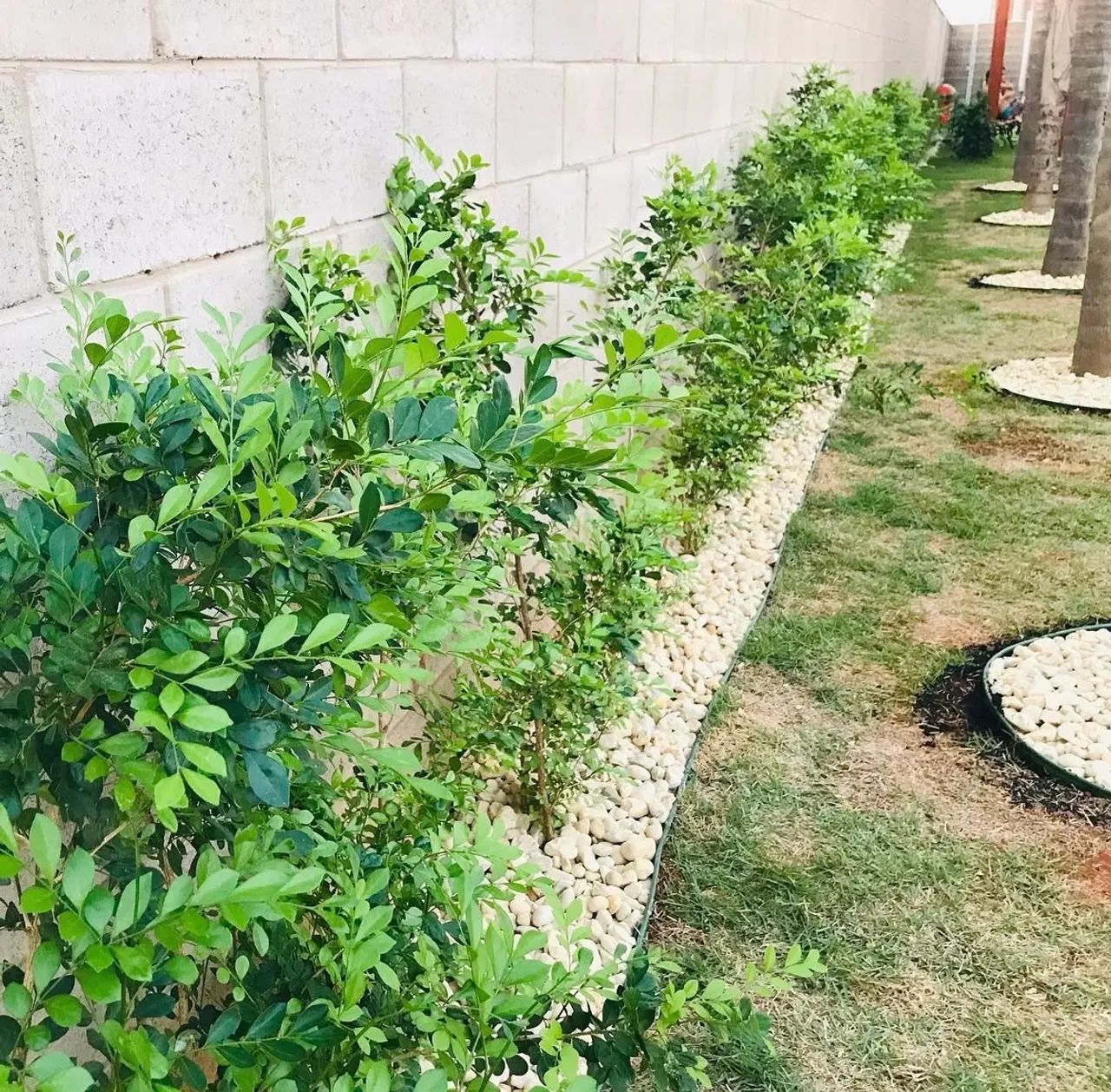 Apartamento Completo à venda - Residencial Solar dos Sabias 2 - Foto 5