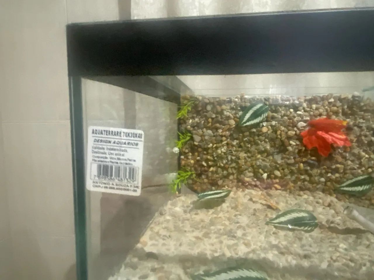 Aquário com plataforma  - Foto 5