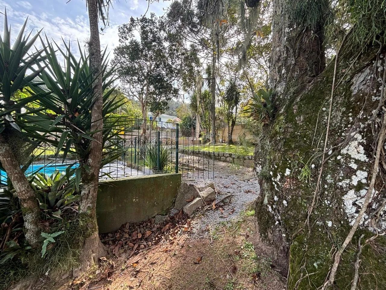 Terreno com 817m² no bairro Trindade, Florianópolis - Foto 2