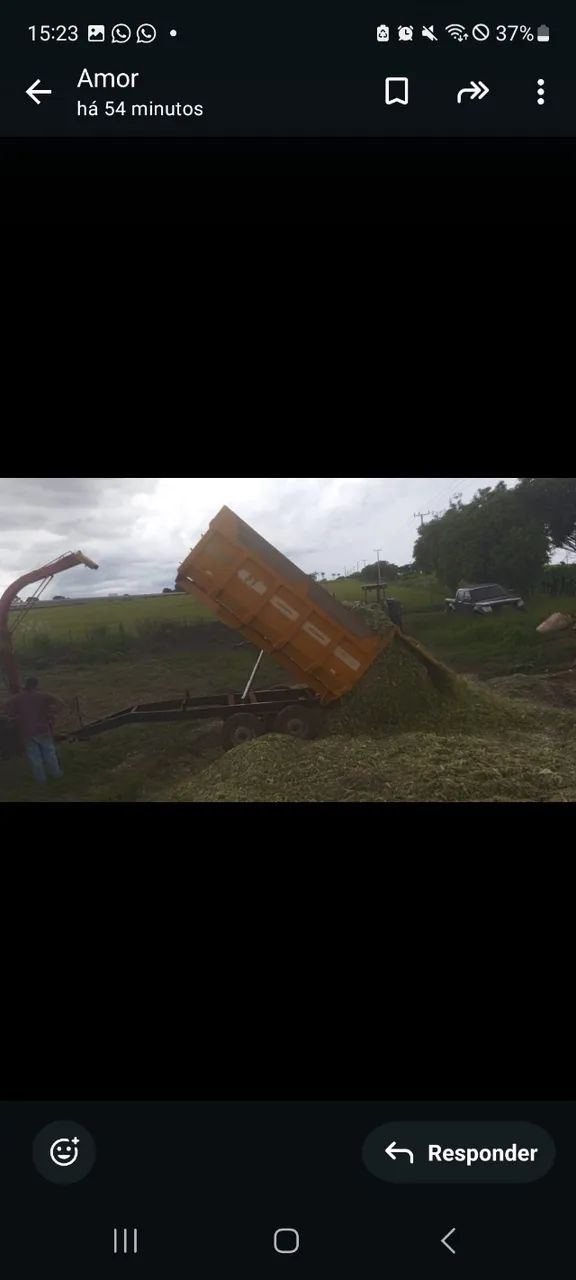 Silagem de milho  - Foto 3