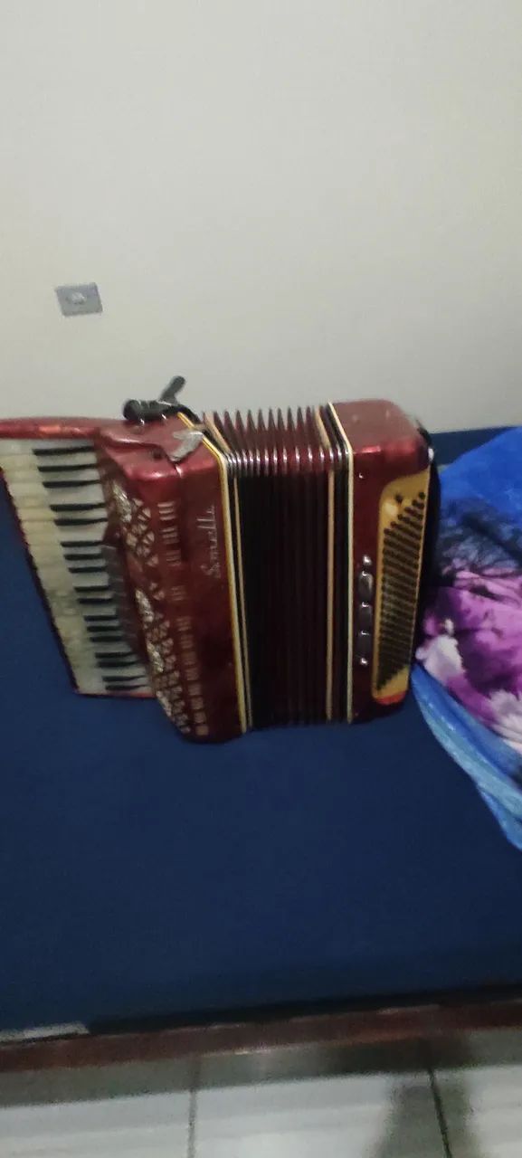 Acordeon sonelli 120 - Foto 3