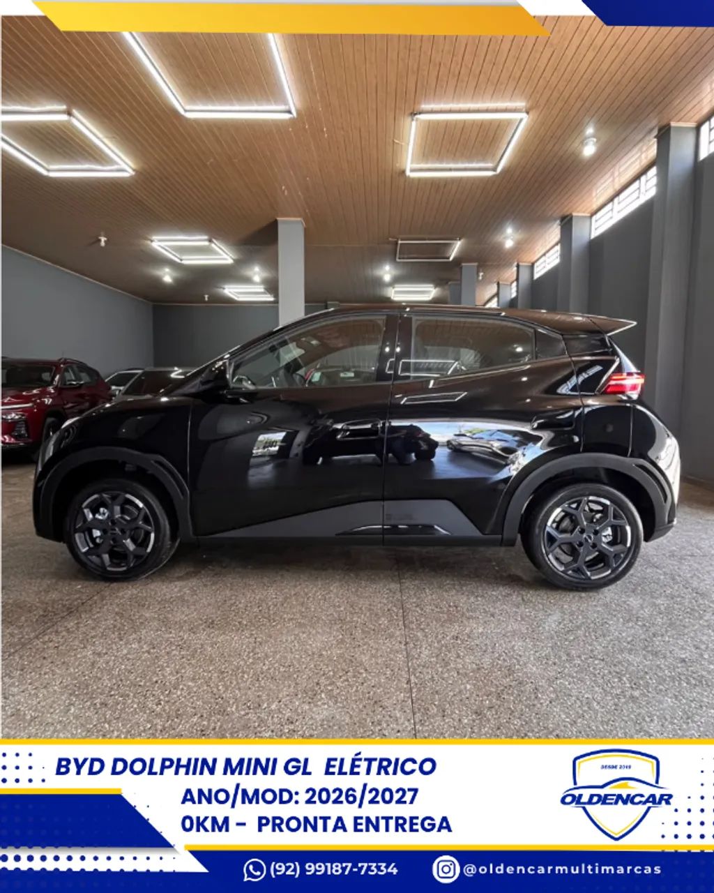 BYD Dolphin Mini (Elétrico) 2026 - Foto 5