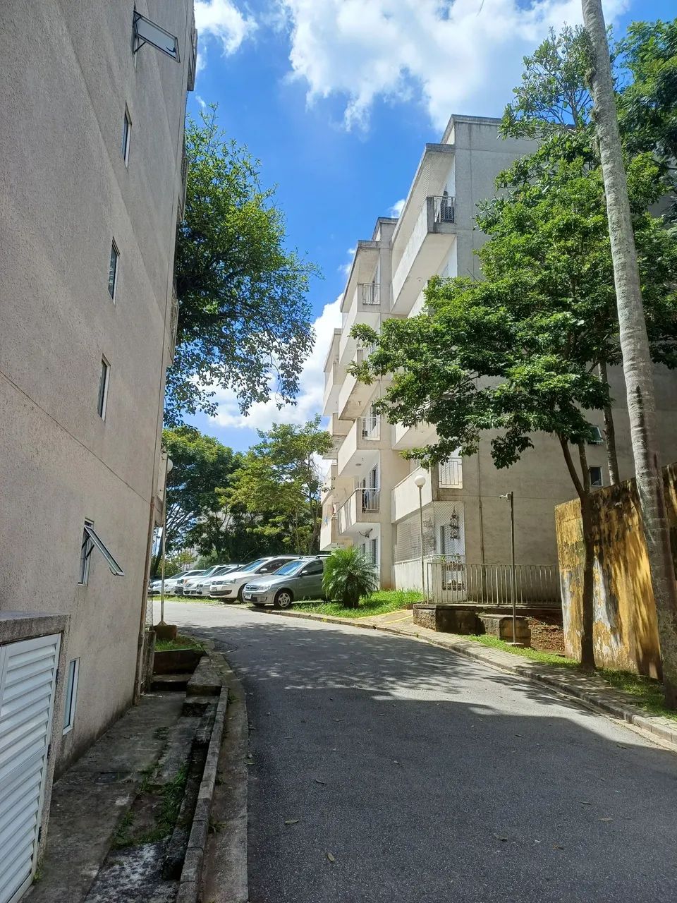 Apartamento alugar jaragua  - Foto 2