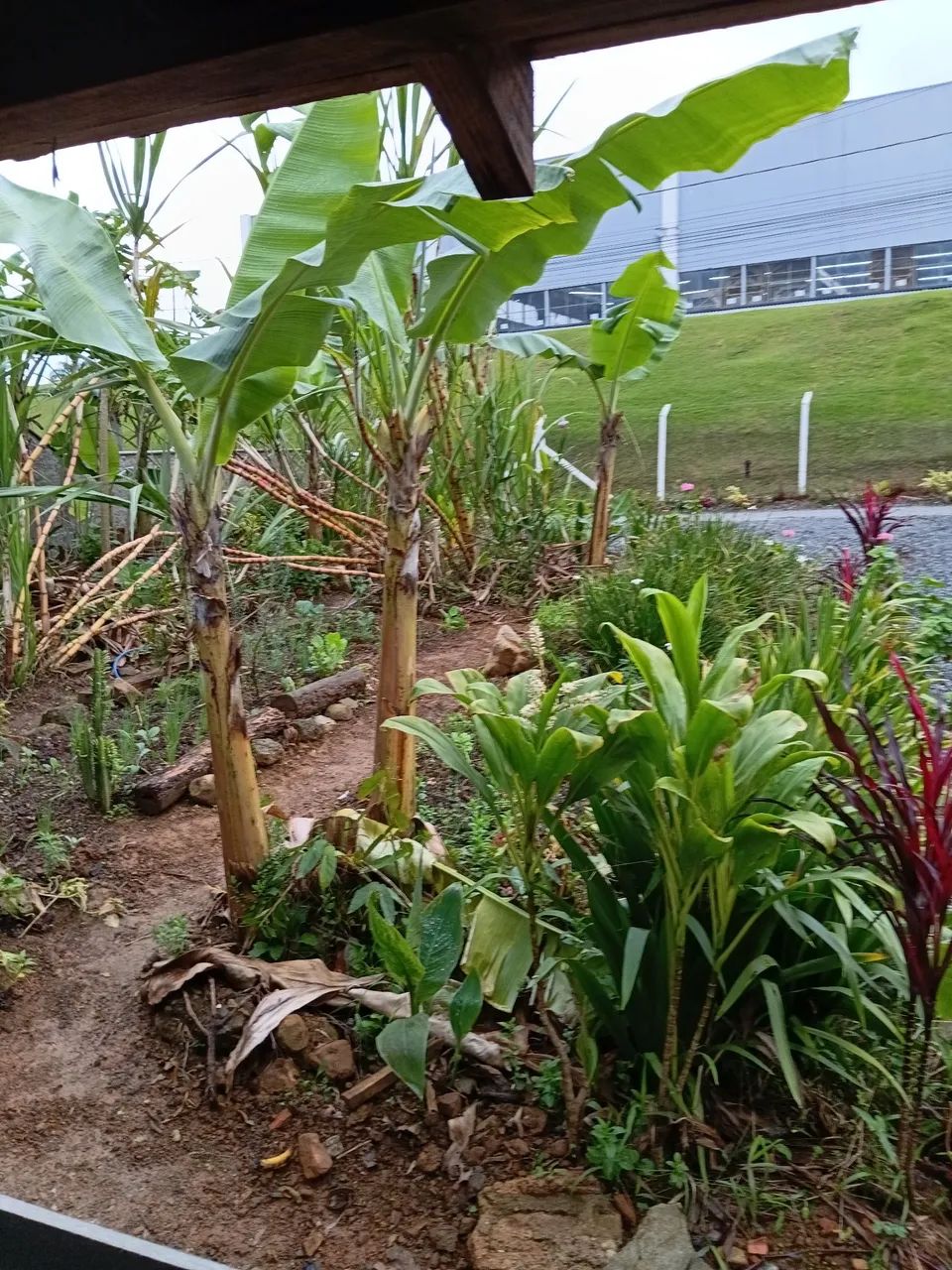 Terreno no bairro aventureiro 