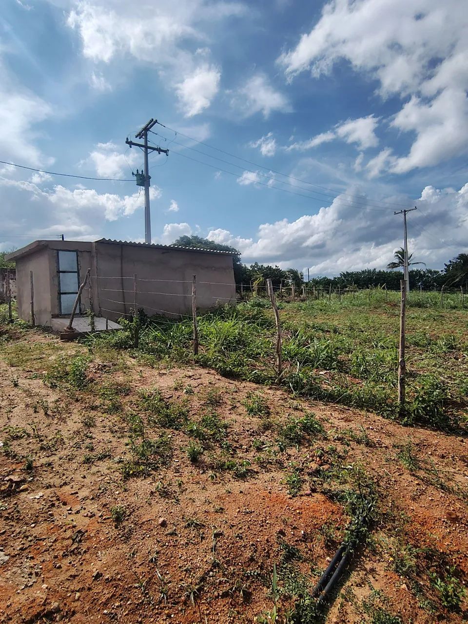 Terreno em glória do Goitá - Foto 4