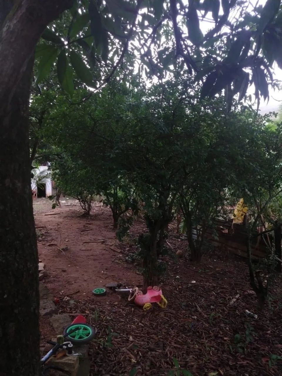 CASA com TERRENO GRANDE em Coutinho - Cachoeiro - Foto 2