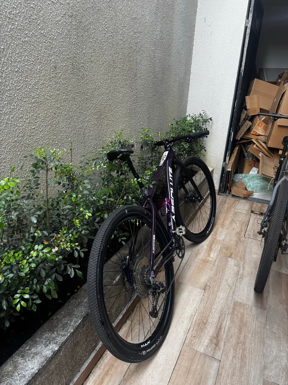 Bicicleta Absolute nero5