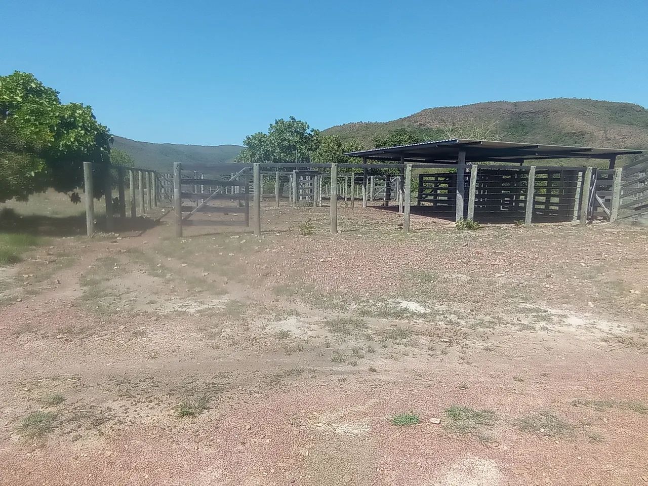fazenda 15 alqueires - Foto 2