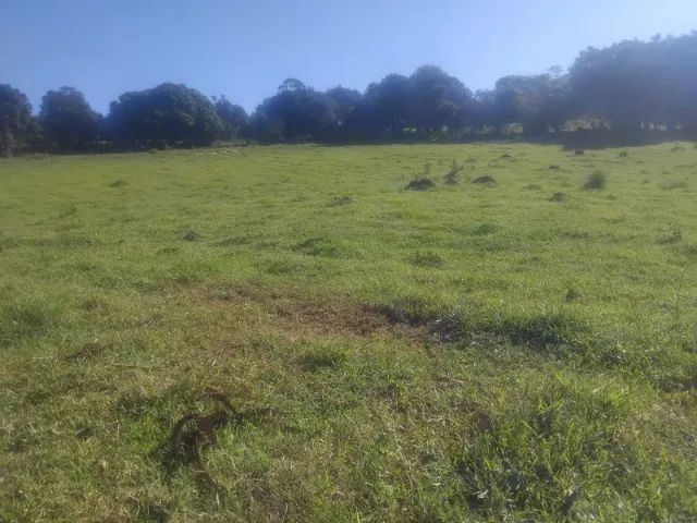 Lotes a venda!!! - Foto 2