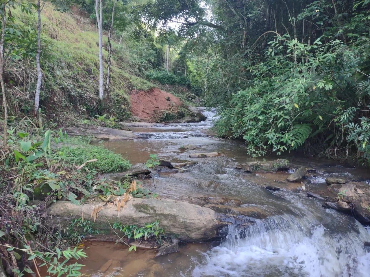 Sítio em Rio preto Minas gerais - Foto 3