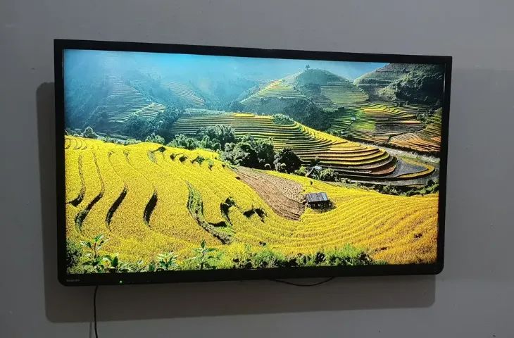 Tv SempToshiba 49 Polegadas + Chromecast 3a Geração (Usados)