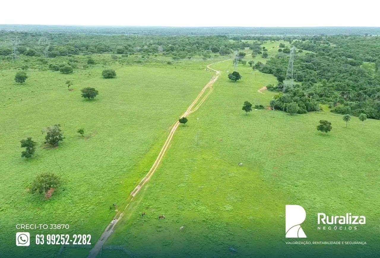270 HA | 174 HA EM PASTAGENS | ESTRUTURA COMPLETA - Foto 3