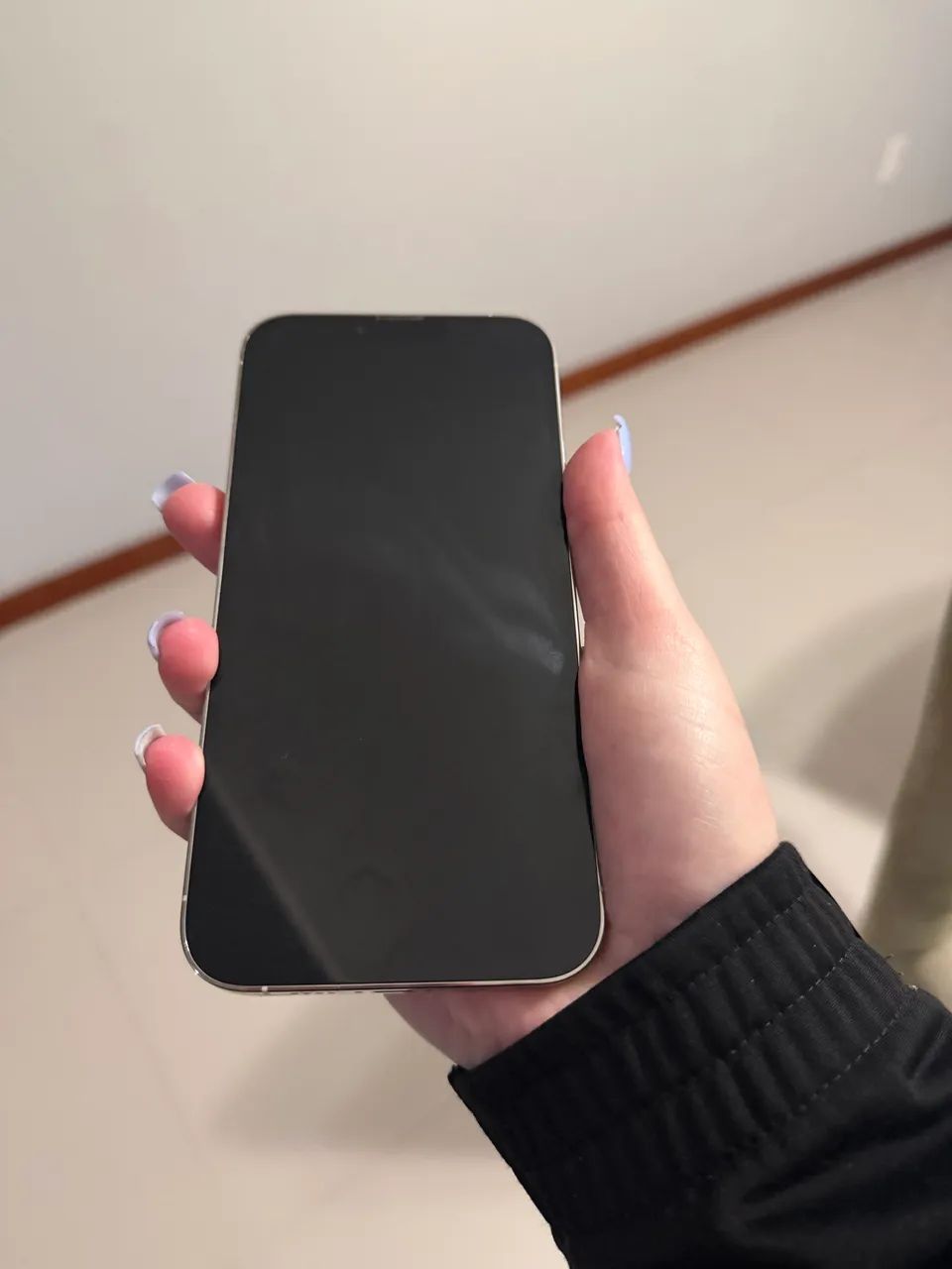 iPhone 13 Pro Max 256gb - Celulares e Smartphones - Centro