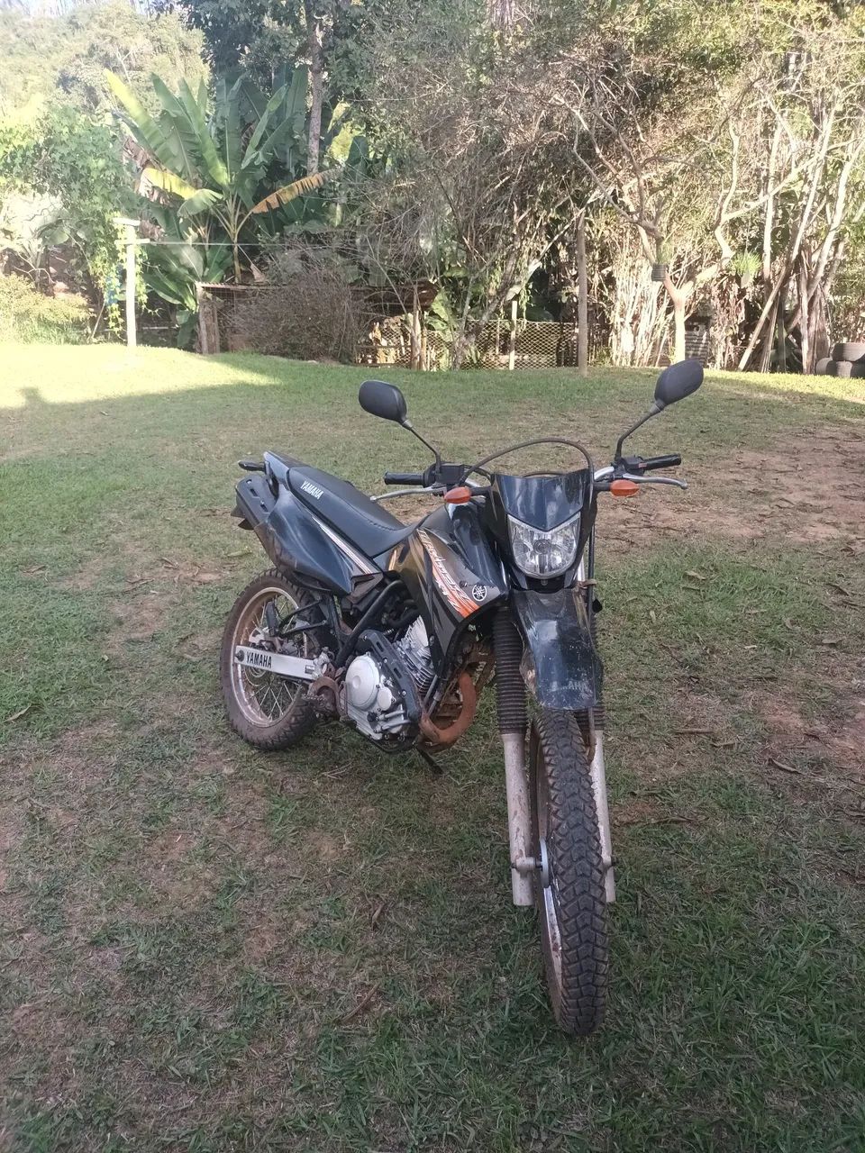 Lander 250 - Foto 2