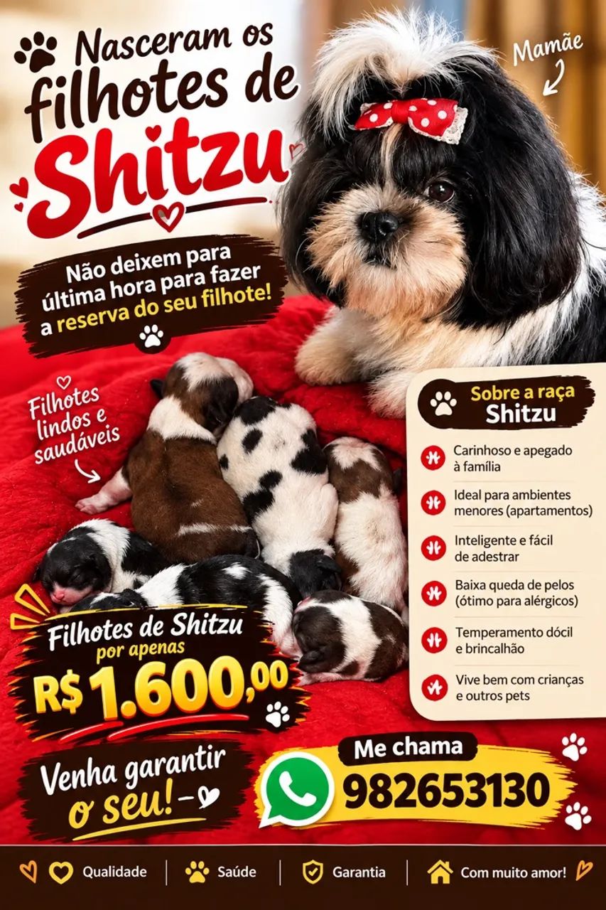 Shitzu