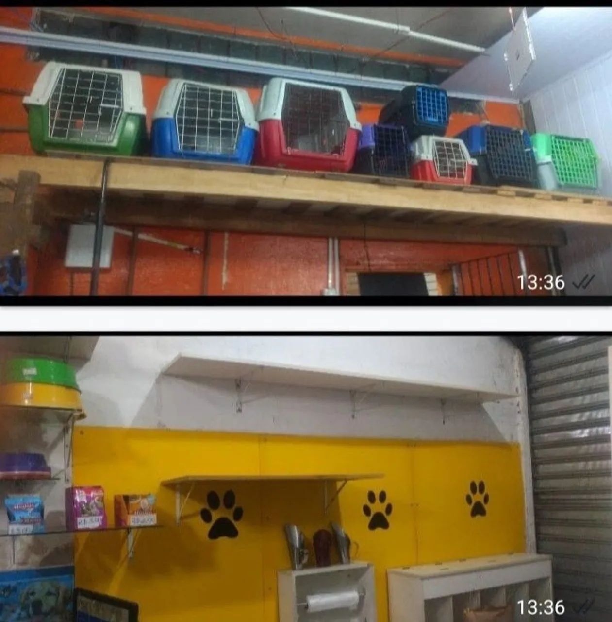 Pet shop  - Foto 5