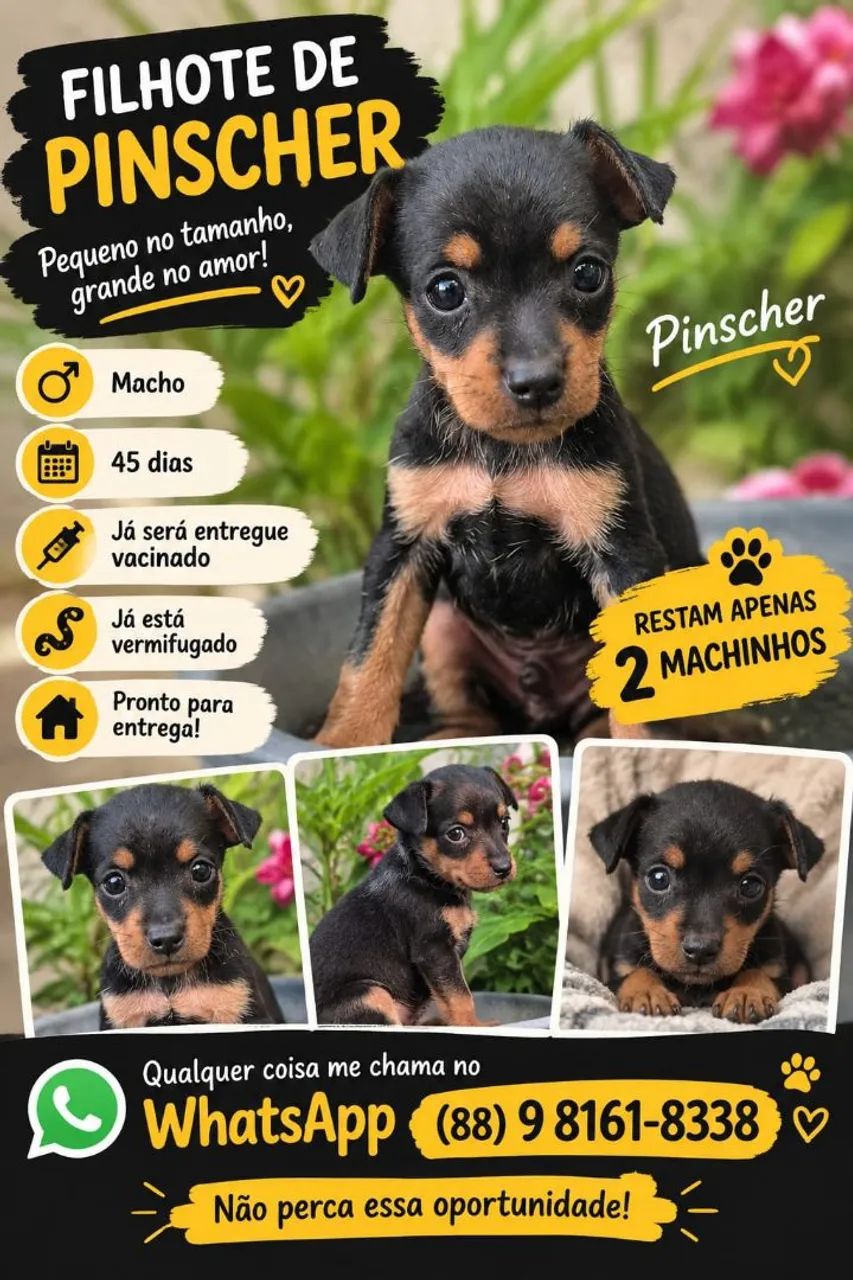 Pincher 