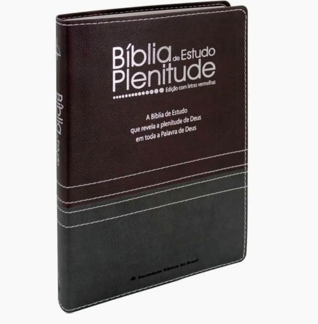 Bíblia De Estudo Plenitude (Nova E Lacrada)