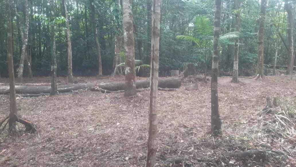 Terreno rural  - Foto 2