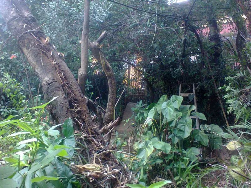 EXCELENTE LOTE 760 M2- SALGADO FILHO - Foto 4