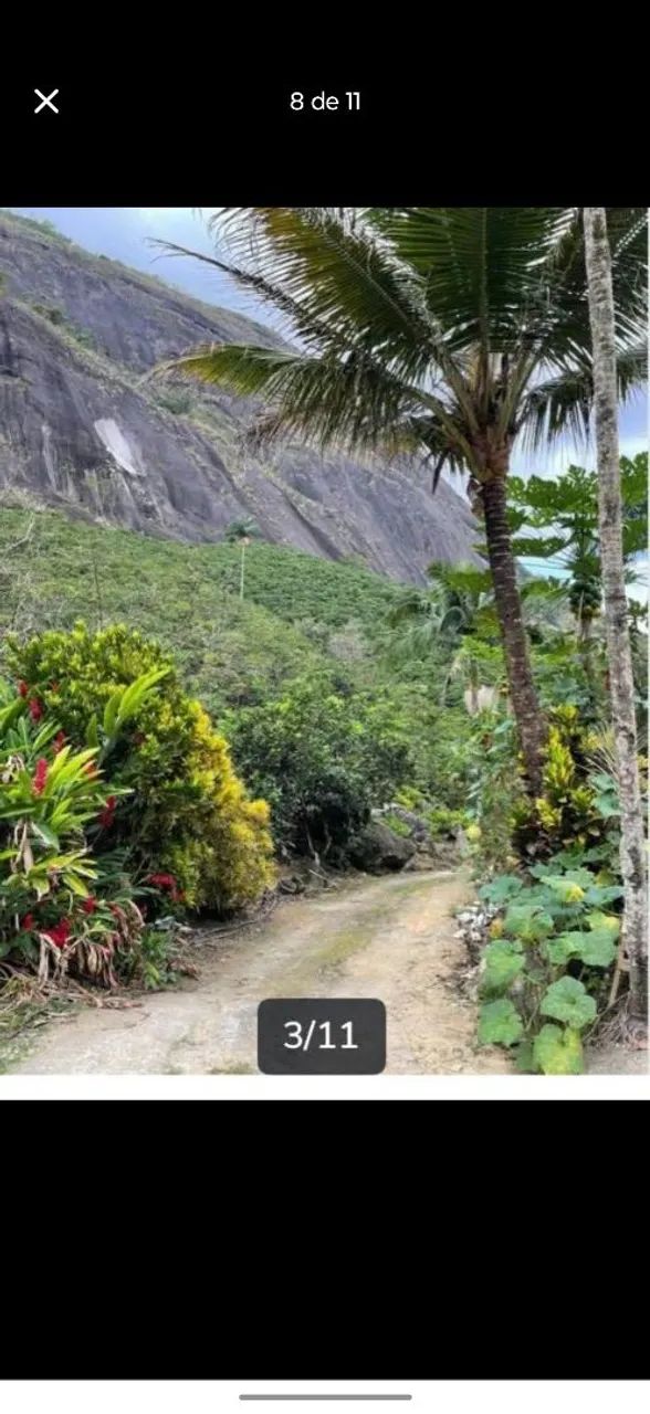 Sítio com 13.000 pés de cafe - Foto 4