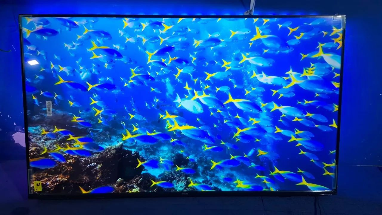 Philips ambilight 55 polegadas