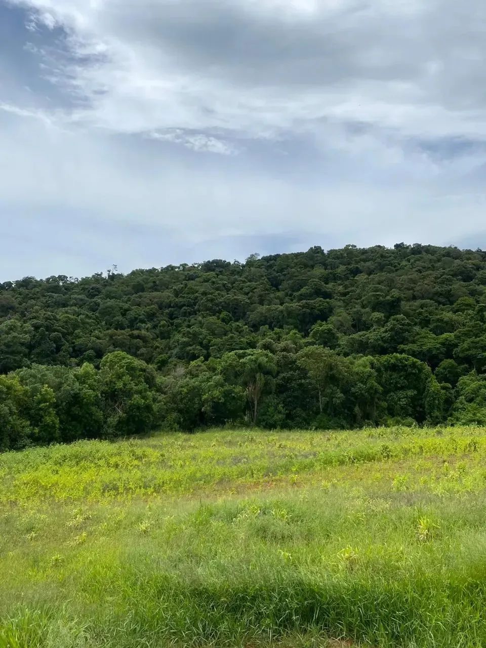 Pré-lançamento em região de crescimento acelerado - Foto 9