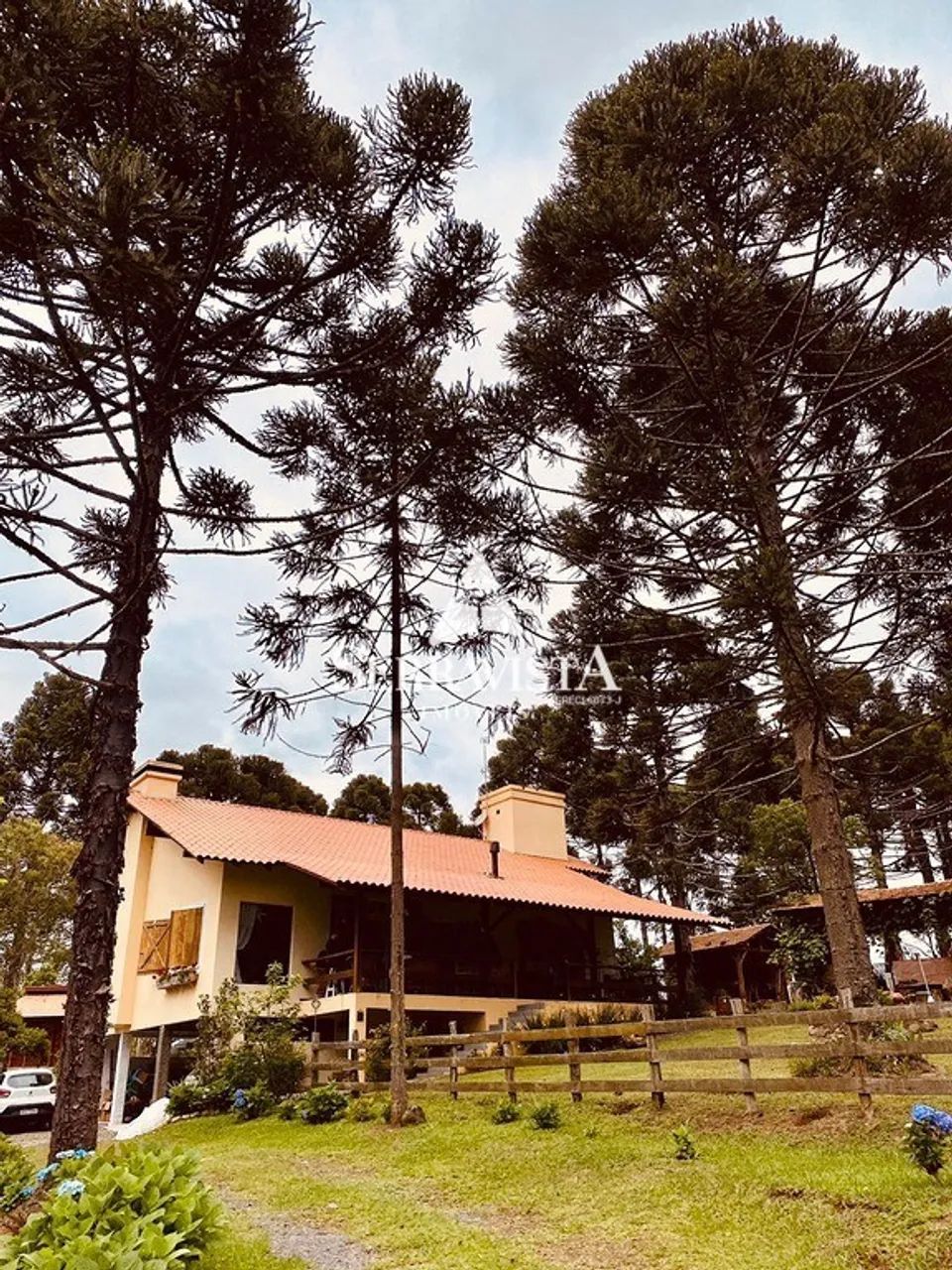 Chácara com casa e chalés em Campo Alegre-30.000m2 - Foto 5