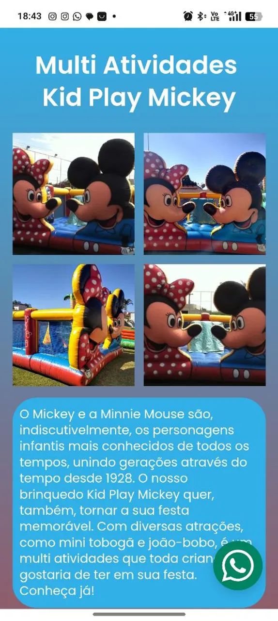 Brinquedo inflável 