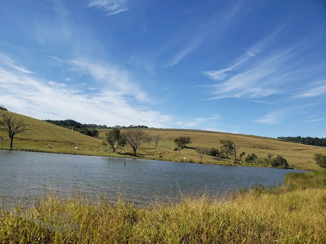 Fazenda à venda, Ipeúna, SP - Foto 3