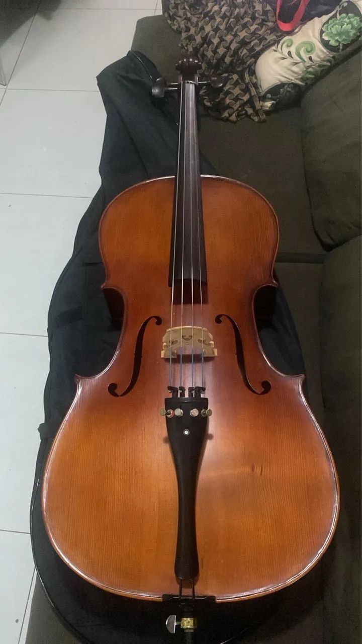 Violoncelo 4/4 Eagle CE300. - Foto 5