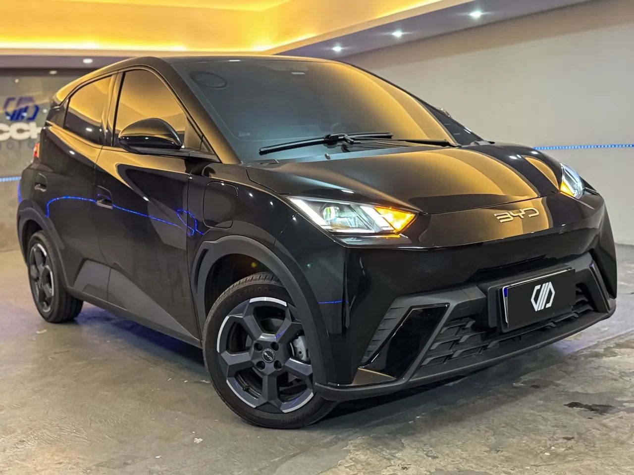 BYD Dolphin GS (Elétrico) 2025 - Foto 2