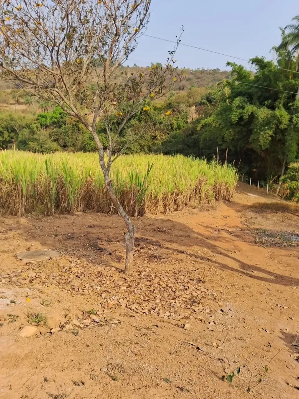 fazenda vila Amanda Baldim - Foto 3