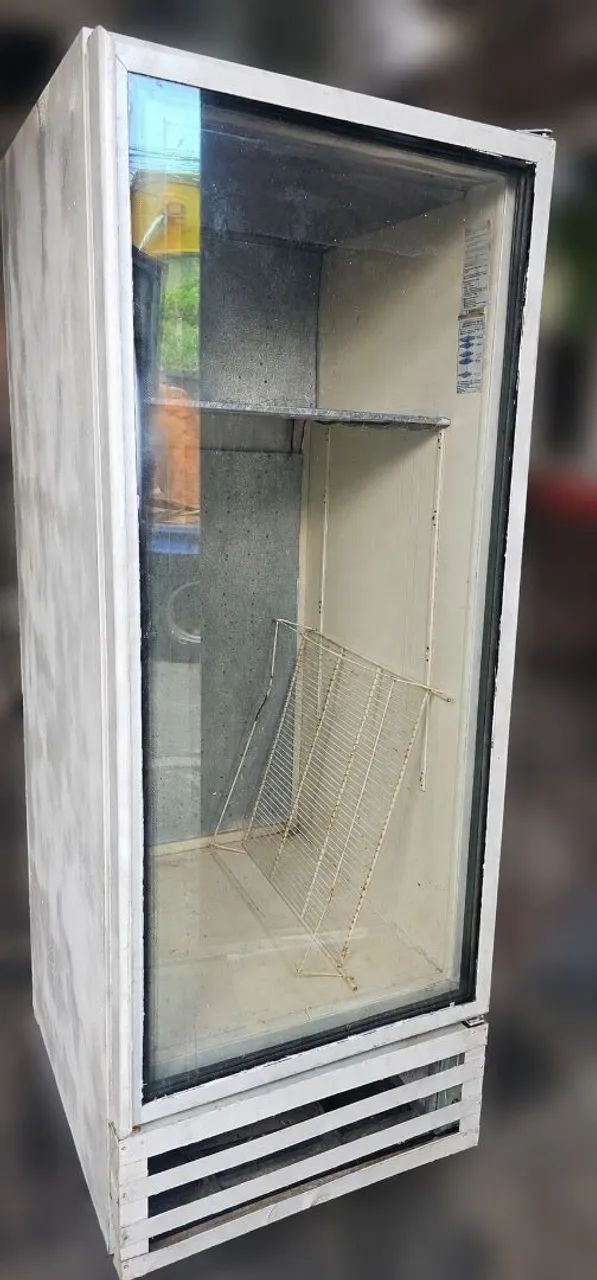 Freezer 110v Vertical