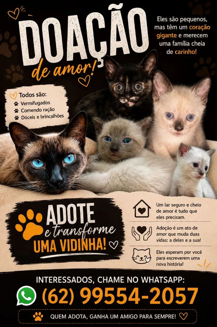 Doação de amor