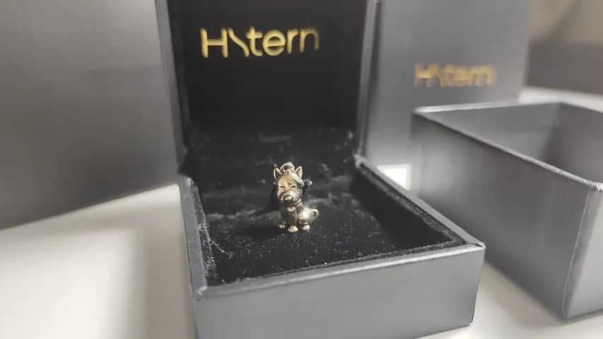 Berloque / Pingente Cachorrinho H.Stern Prata 925 Com Ouro - Completo - Foto 4