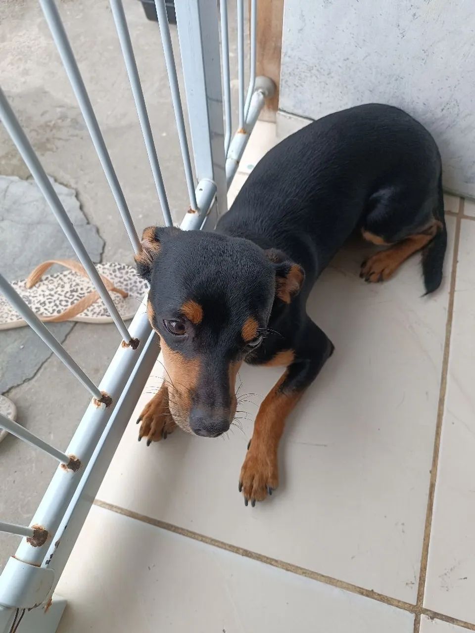 Doação  - Foto 2