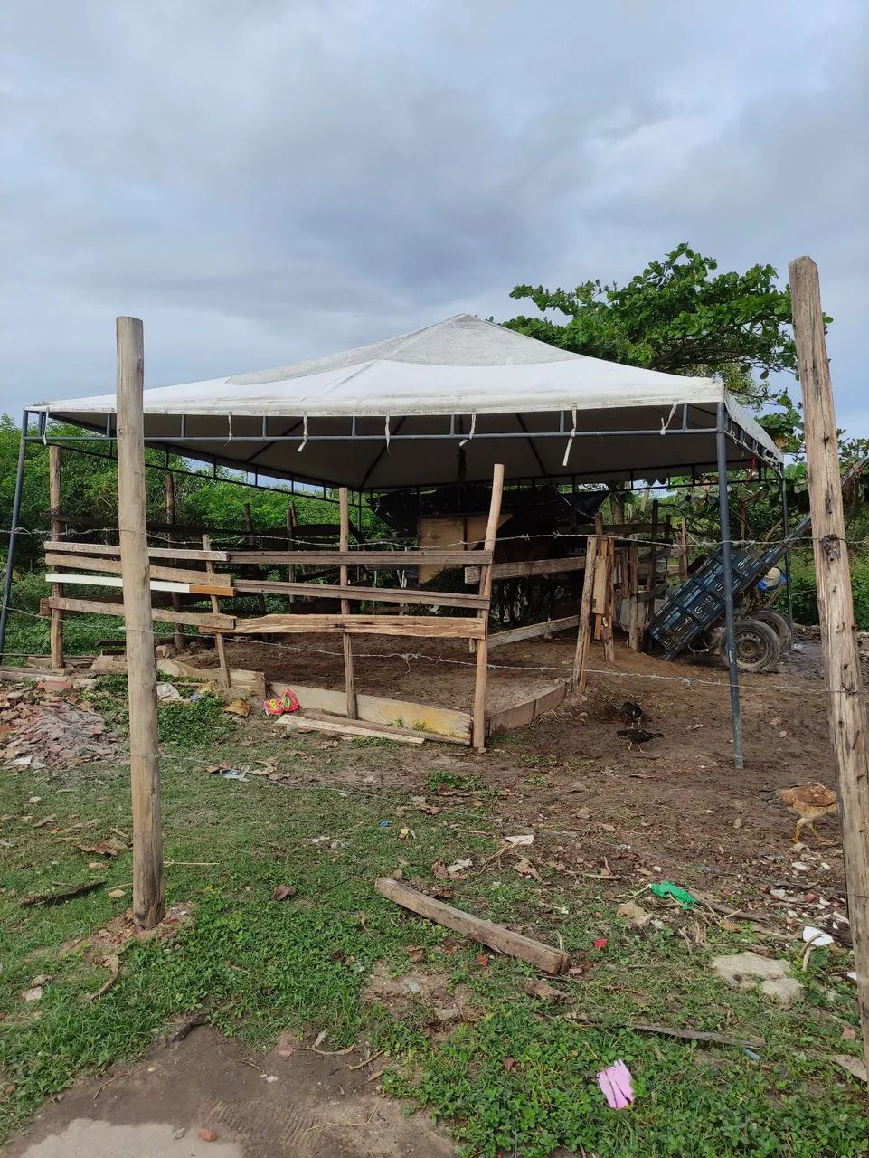 Tenda 6por6 - Foto 3