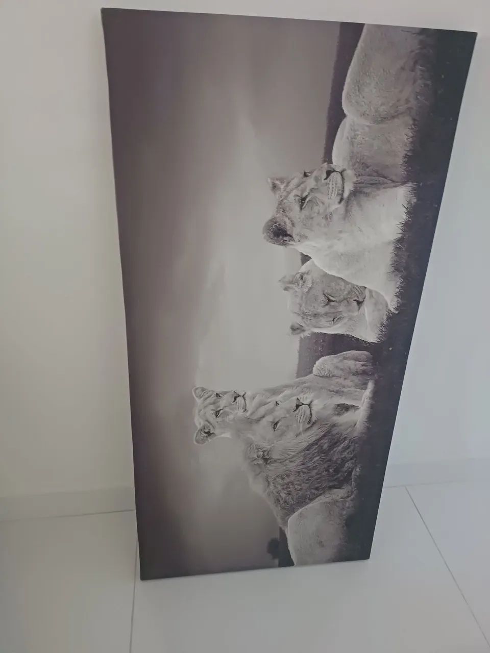Quadro  - Foto 2