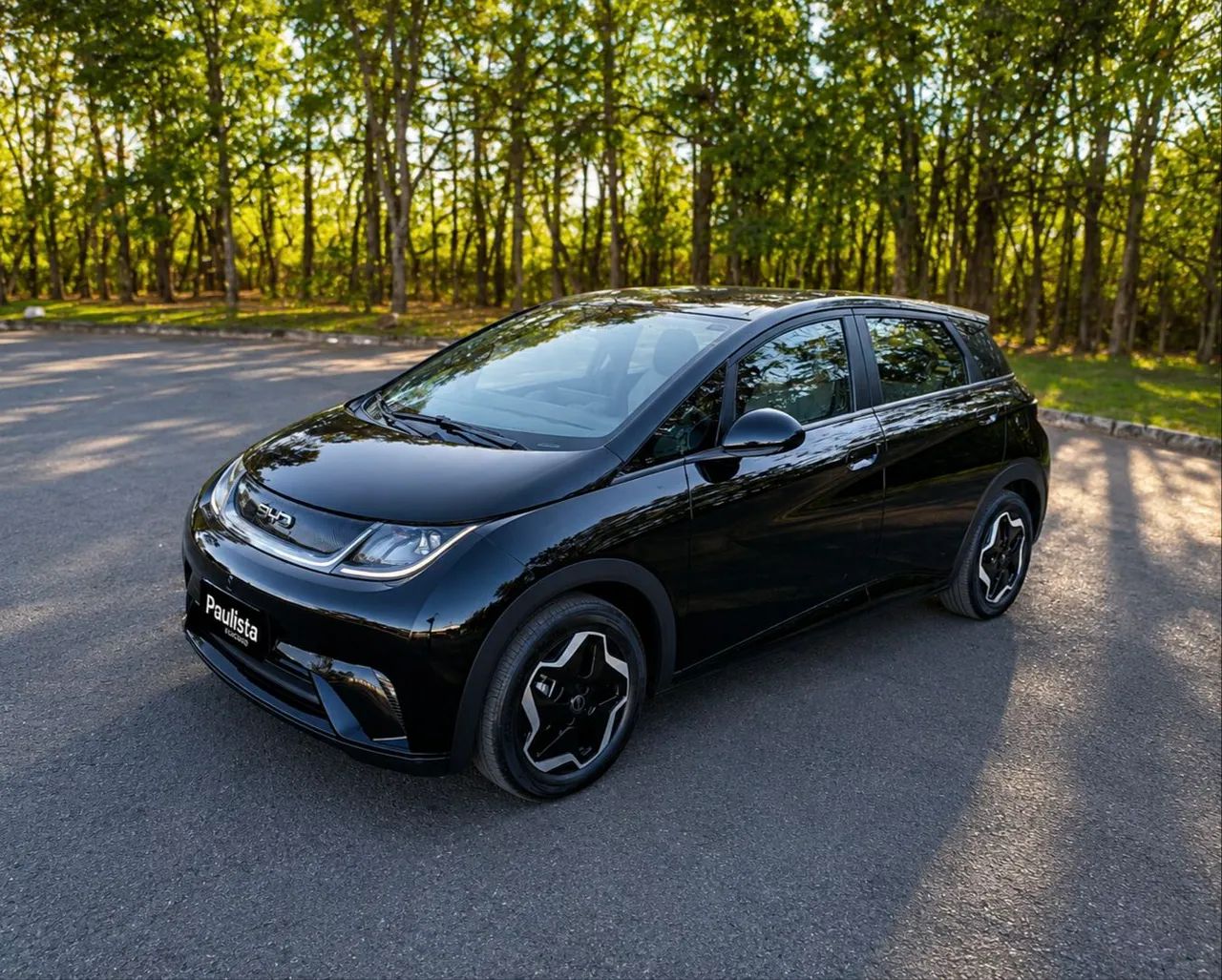 BYD Dolphin EV (Elétrico) 2025 - Foto 2