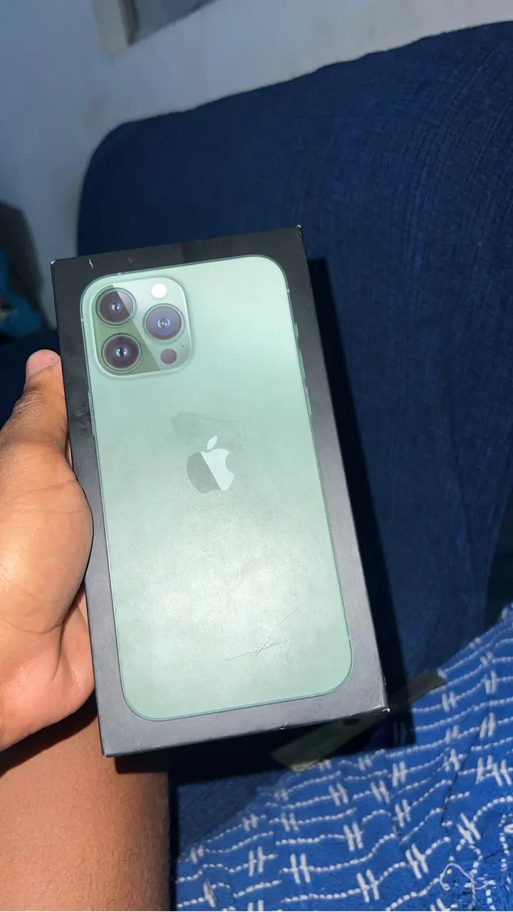 iPhone 13 Pro Max 256gb