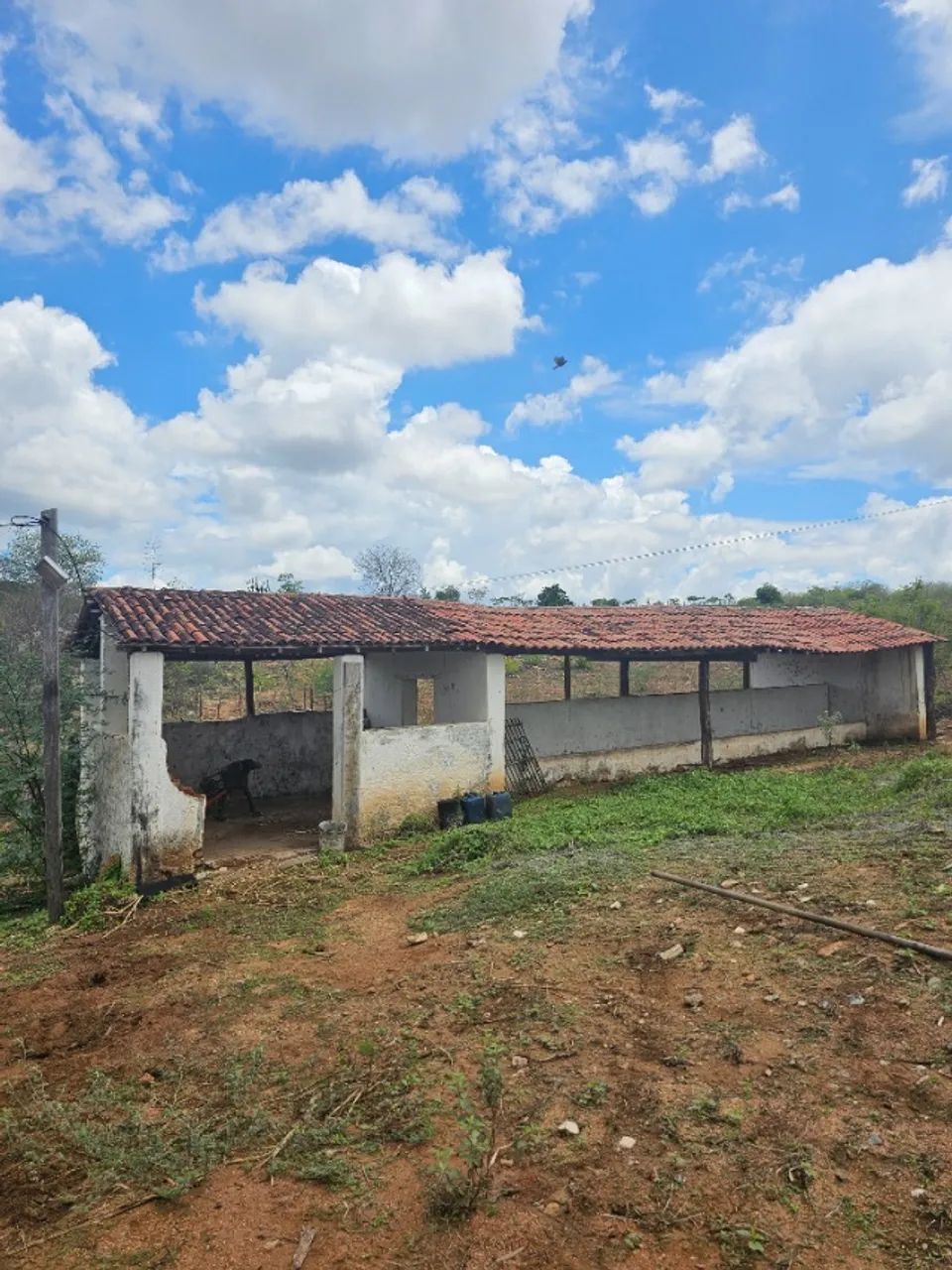 SÍTIO À VENDA EM BOQUEIRÃO - Foto 3