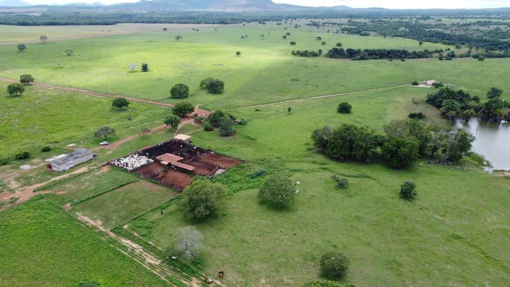 Fazenda para Venda em Aliança do Tocantins, 6 dormitórios - Foto 3