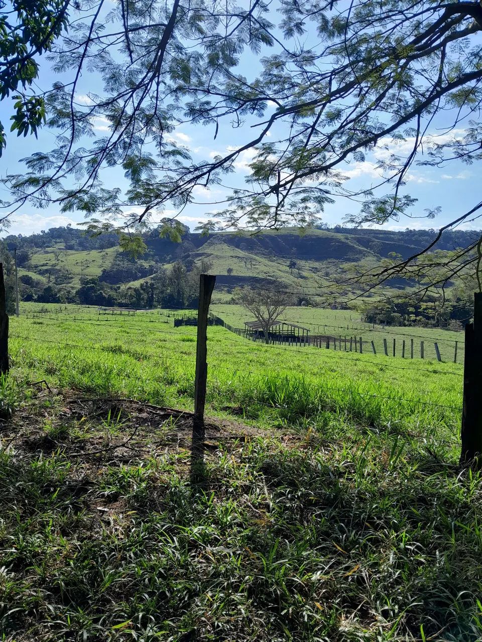 Sitio a venda em piracicaba aceita permuta - Foto 3