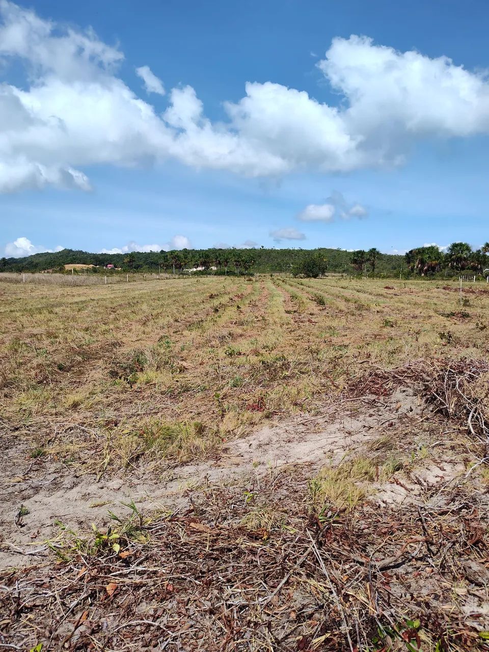 Terreno em tepequem  - Foto 3