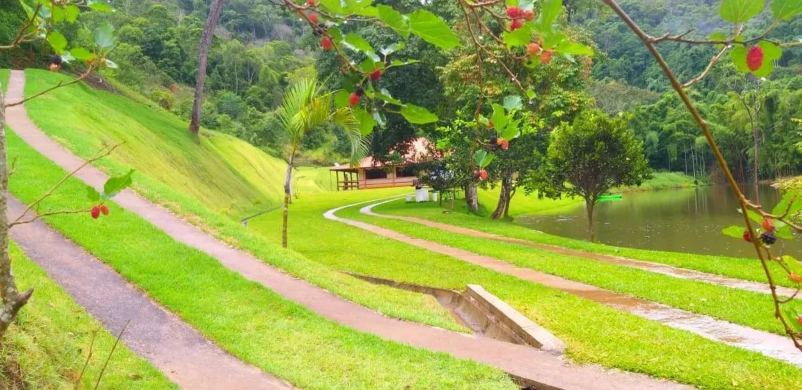 FAZENDA PROXIMOA JUIZ DE FORA - Foto 4