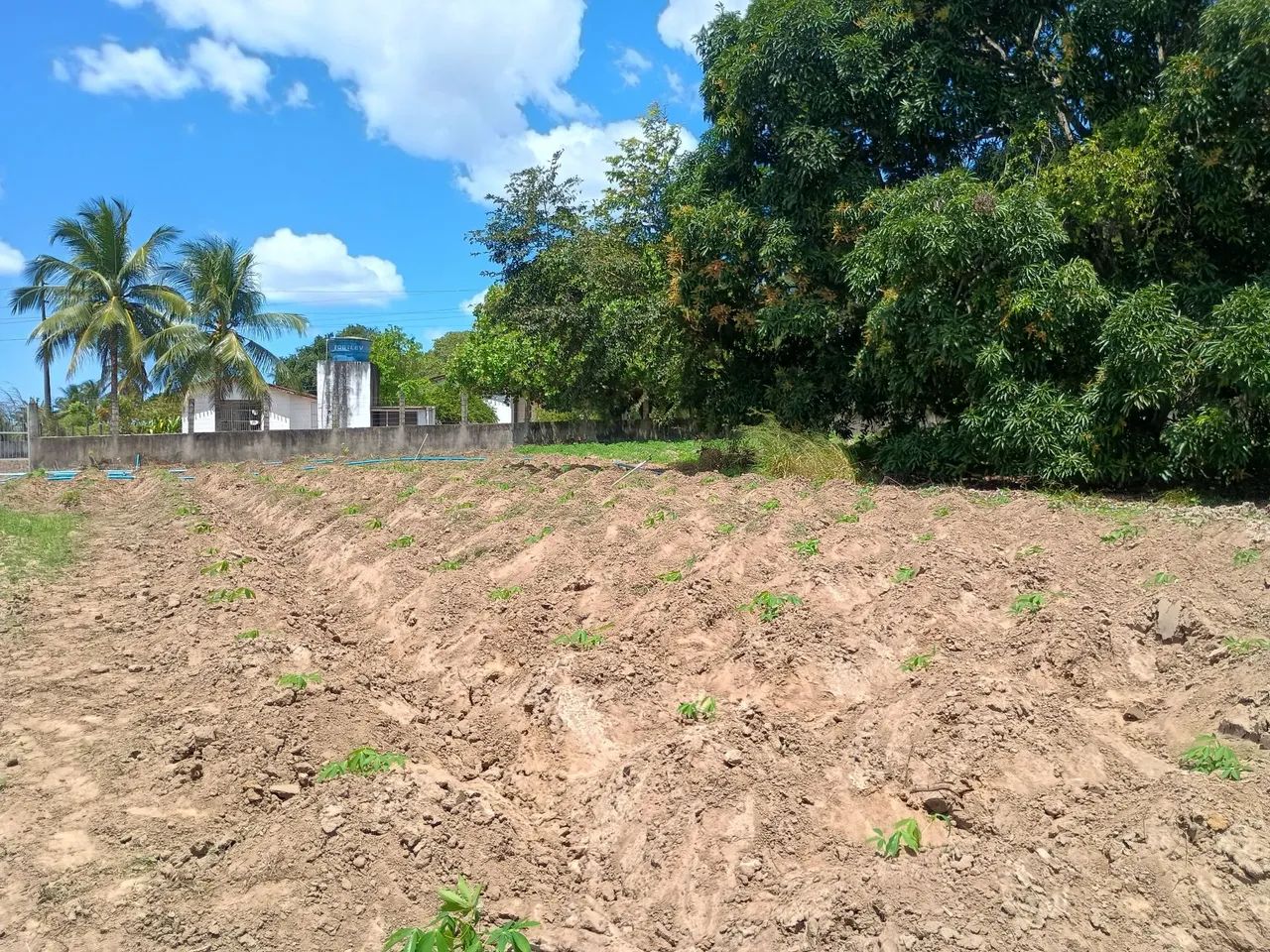 Sitio em rio tinto  - Foto 3